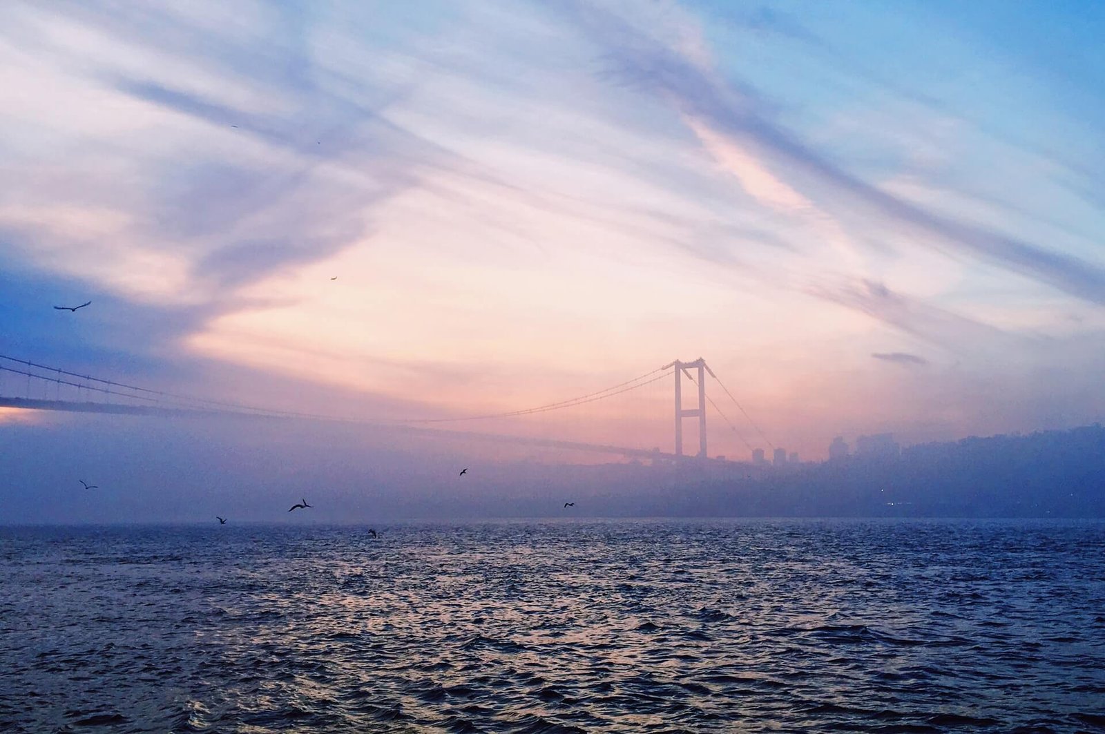 Bosphorus Strait and Black Sea Half-Day Cruise from Istanbul - Image 3